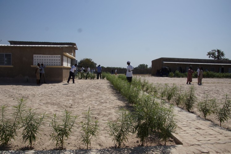 Newly built school with school gardens.