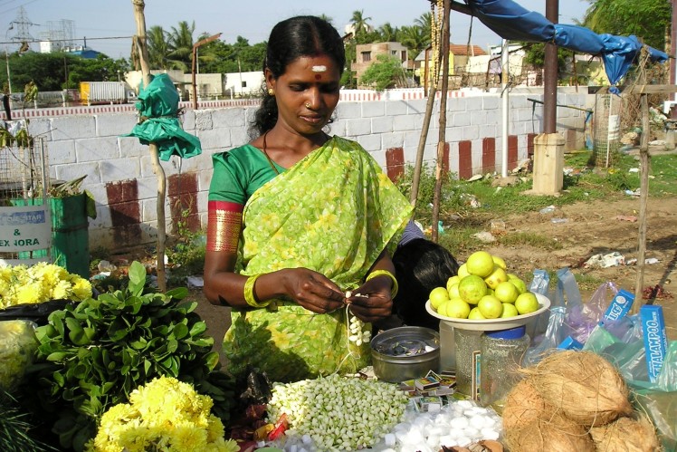 Indian woman laying out plants and fruits