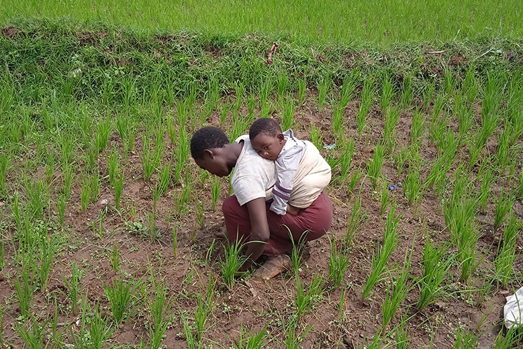 Mother with her child on her back in a field